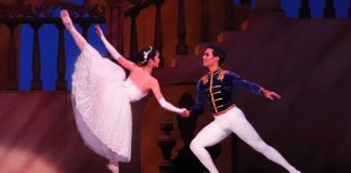 Cinderella Christmas Fantasia