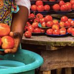Join the UN Food Safety Contest
