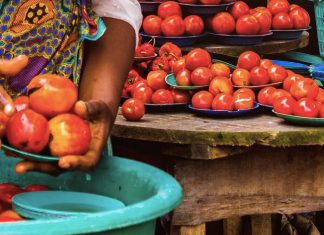 Join the UN Food Safety Contest