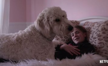 watching cute animals can reduce stress and anxiety