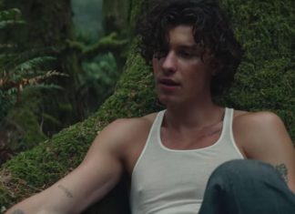 Wonder: Shawn Mendes fourth studio album coming on Dec 4 Wonder: Shawn Mendes fourth album is coming in December