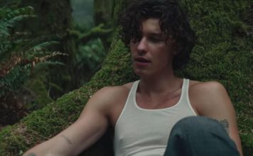 Wonder: Shawn Mendes fourth studio album coming on Dec 4 Wonder: Shawn Mendes fourth album is coming in December