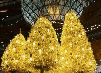 Hong Kong Christmas dazzles through technology