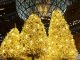 Hong Kong Christmas dazzles through technology Hong Kong Christmas dazzles through technology