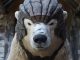 Sony Pictures Television: Bad Wolf
