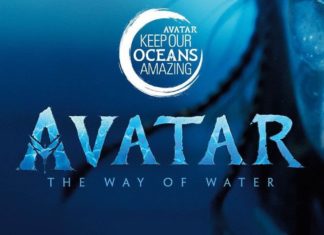 Keep Our Oceans Amazing