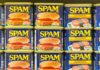 SPAM SPAM SPAM