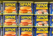 SPAM SPAM SPAM