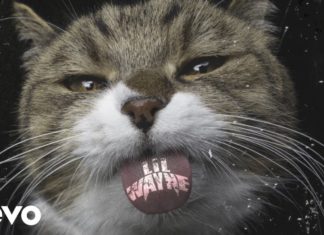 ‘Kat Food’:Lil Wayne serves new single