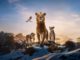 Mufasa: The Lion King – A Great Prequel for the Pride Lands Ruler