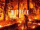 Netflix $10 Million Donation to Provide Immediate Wildfire Relief