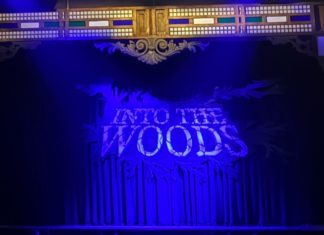 Into The Woods, and Missing It For the Trees