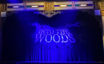 Into The Woods, and Missing It For the Trees